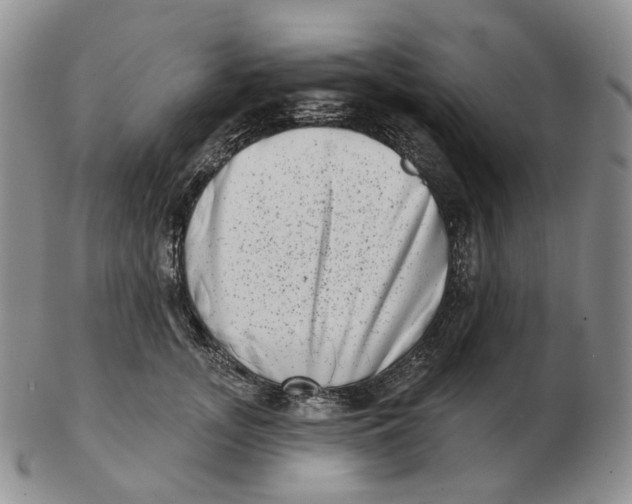 X0000103150755200809121816