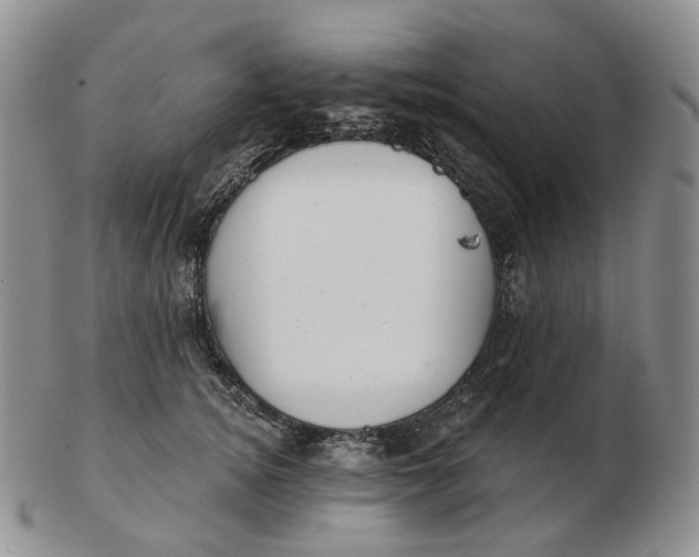 X0000103150756200809121816