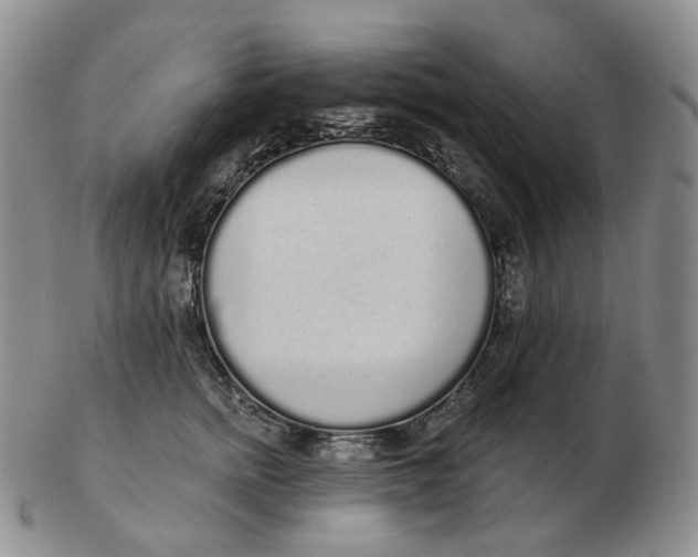 X0000103150758200809121816