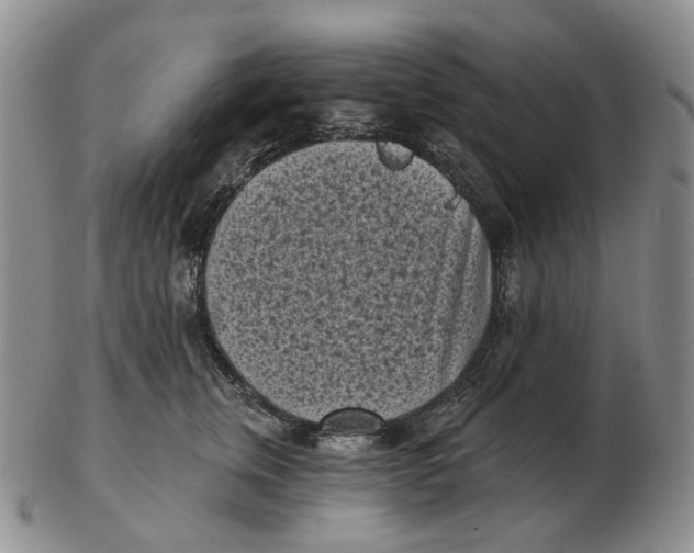 X0000103150759200809121816