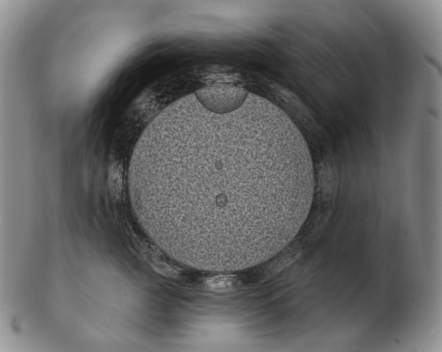 X0000103150761200809121816