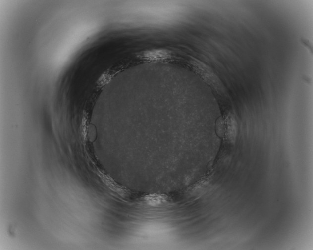 X0000103150762200809121816