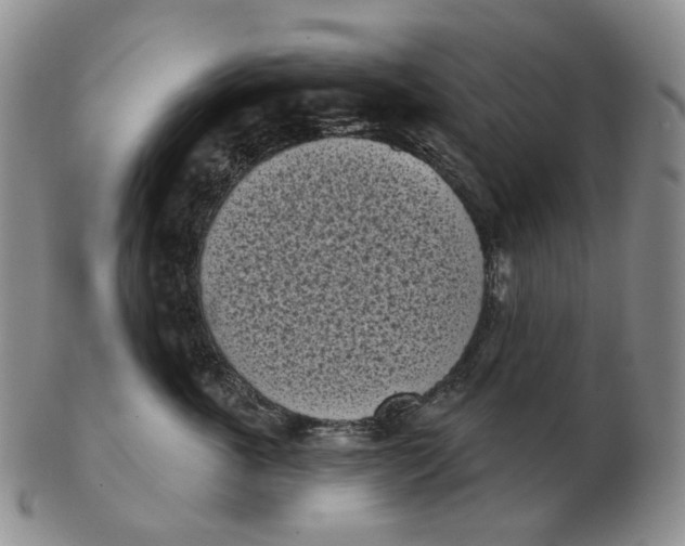 X0000103150763200809121816