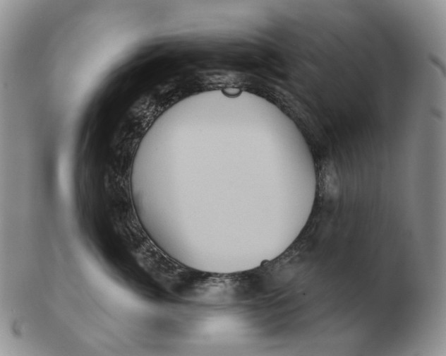 X0000103150764200809121816