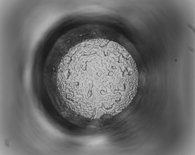 X0000103150765200809121816