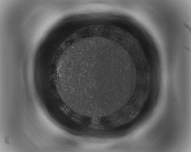 X0000103150766200809121816