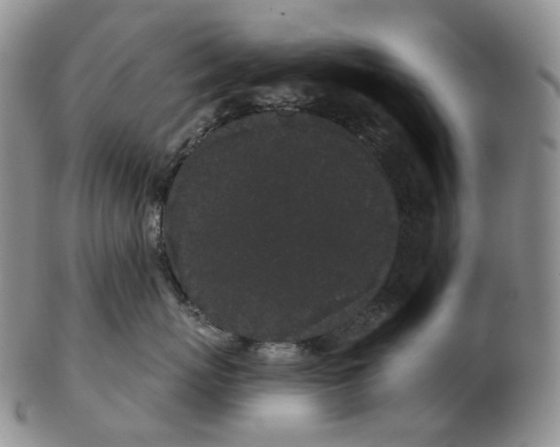 X0000103150767200809121816