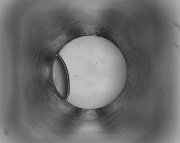 X0000103150768200809121816