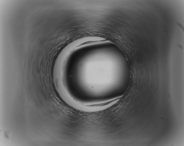 X0000103150769200809121815