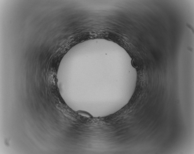 X0000103150770200809121815