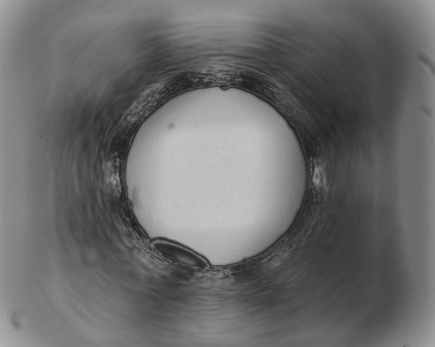 X0000103150771200809121815