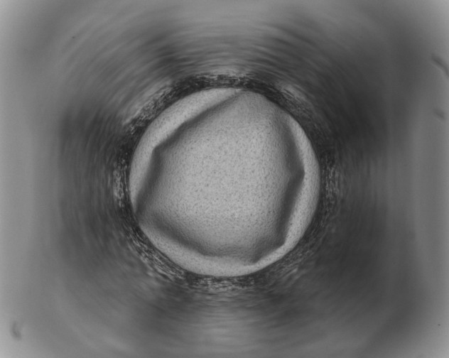 X0000103150774200809121815