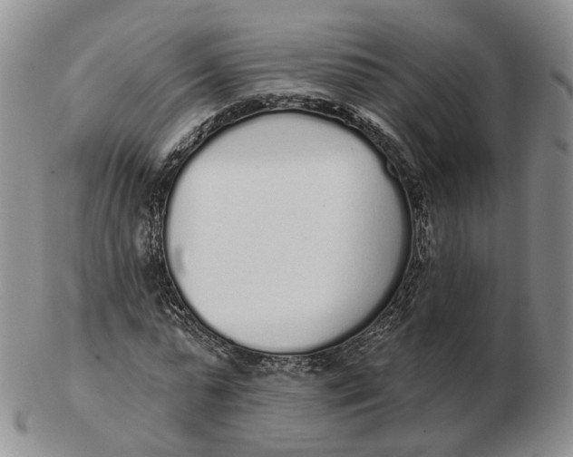 X0000103150775200809121815