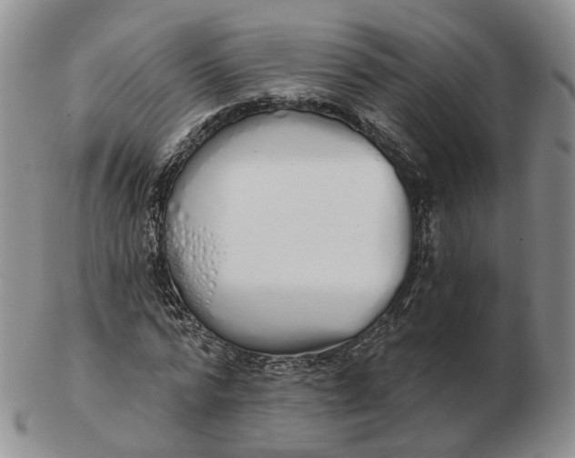 X0000103150776200809121815