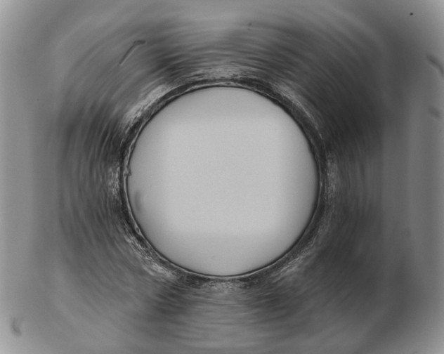 X0000103150778200809121815