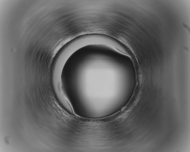 X0000103150781200809121815