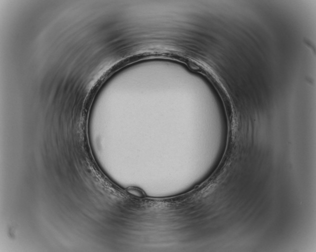 X0000103150783200809121815