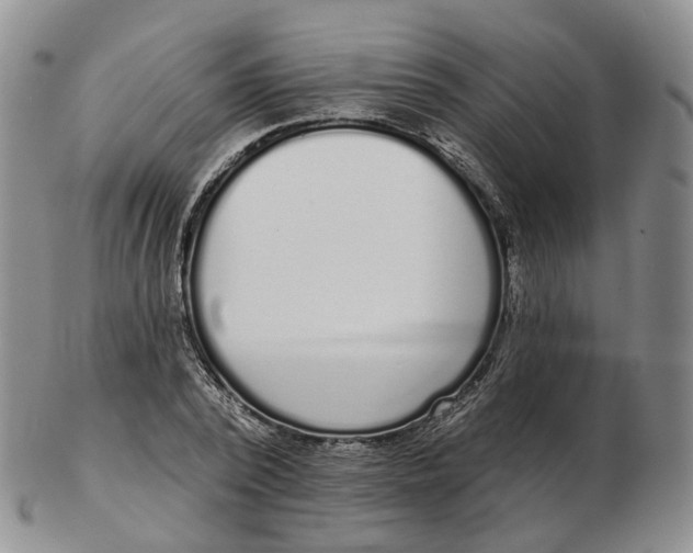 X0000103150784200809121815