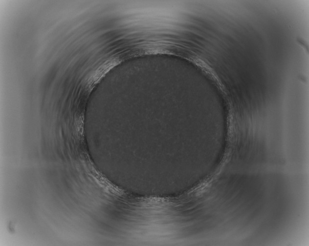 X0000103150785200809121815