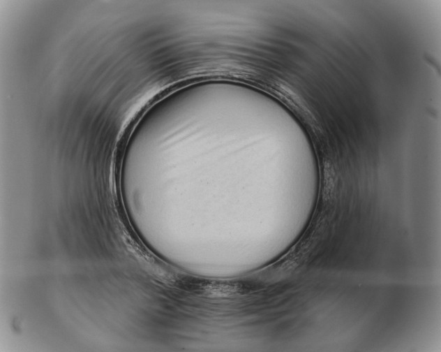 X0000103150788200809121815