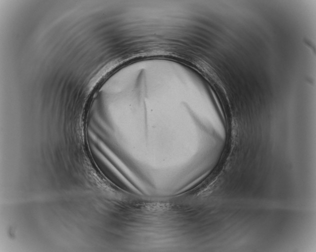 X0000103150789200809121815