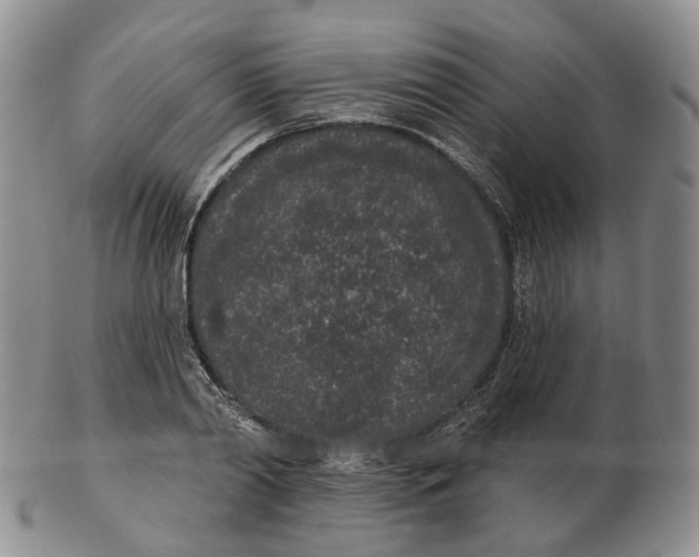 X0000103150790200809121815