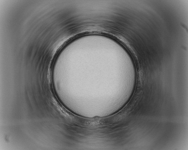 X0000103150791200809121815