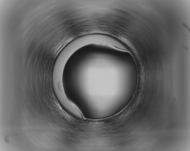 X0000103150793200809121815