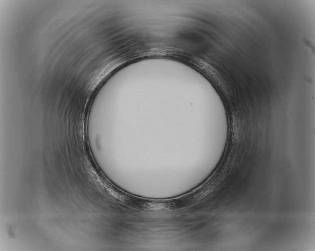 X0000103150794200809121815