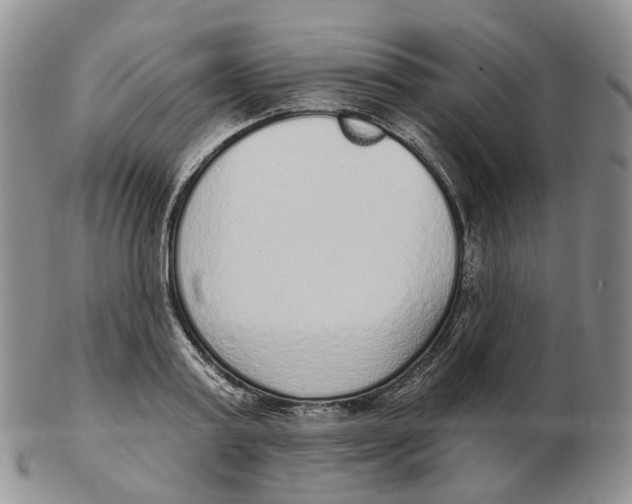 X0000103150795200809121815