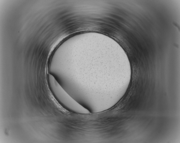 X0000103150796200809121815