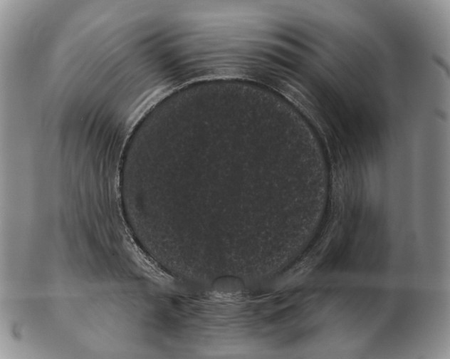 X0000103150797200809121815