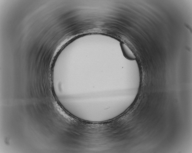 X0000103150800200809121815