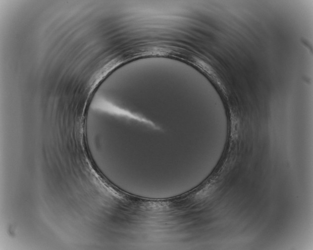 X0000103150802200809121815