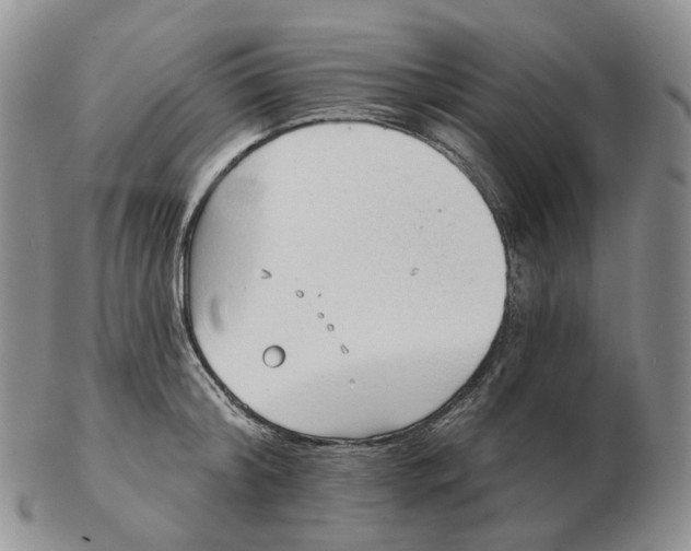 X0000103150804200809121815