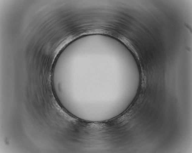 X0000103150805200809121815