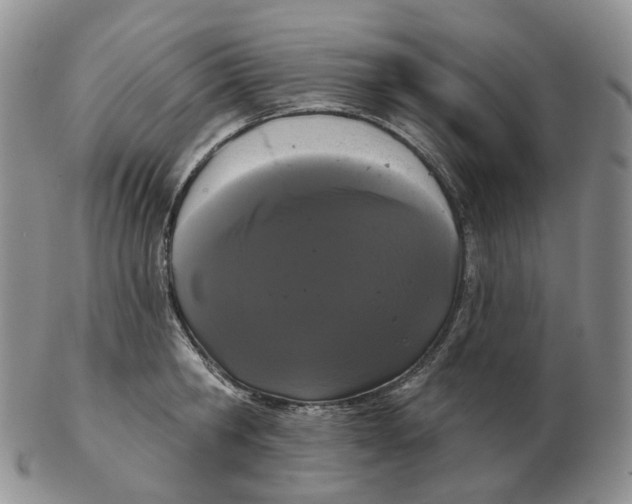 X0000103150806200809121815