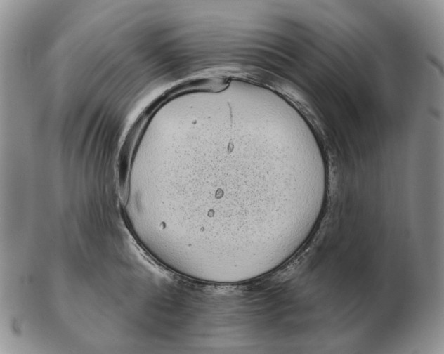 X0000103150808200809121815