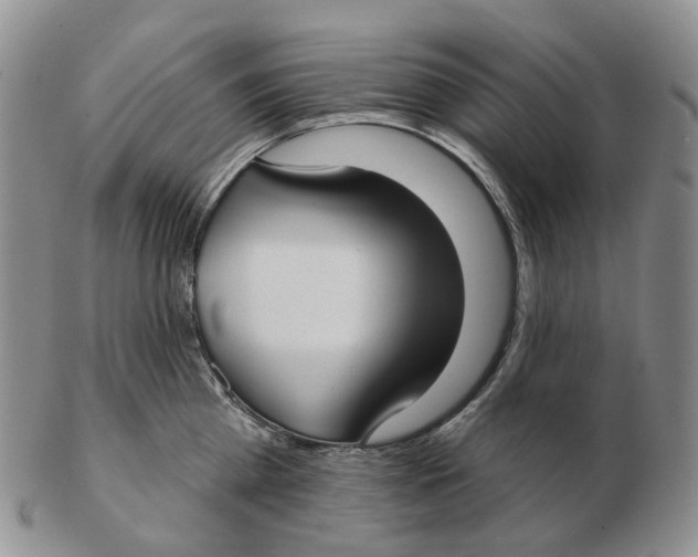 X0000103150809200809121815