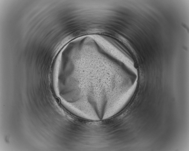 X0000103150810200809121815