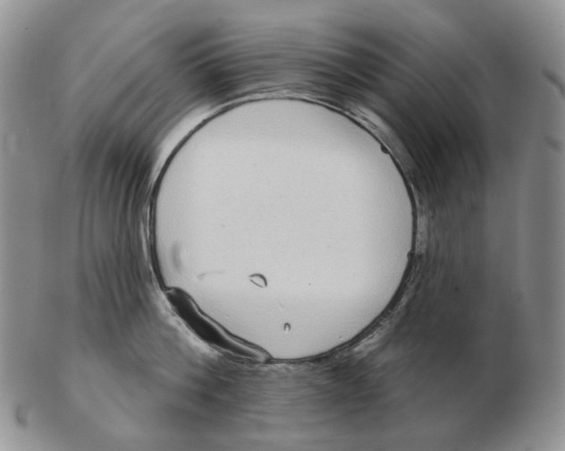 X0000103150812200809121815