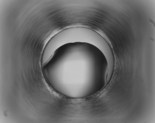 X0000103150813200809121815