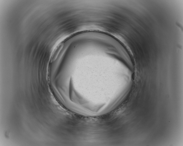 X0000103150815200809121815