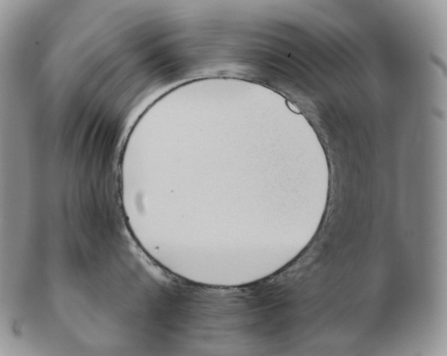 X0000103150816200809121815