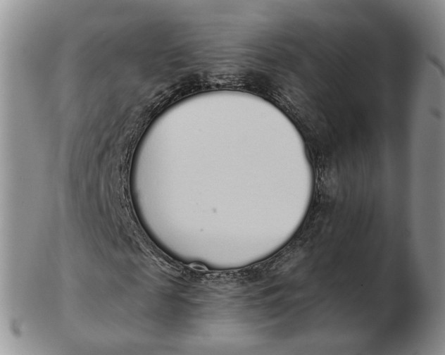 X0000103150817200809121814