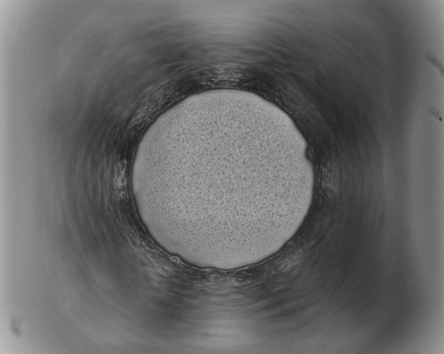 X0000103150818200809121814