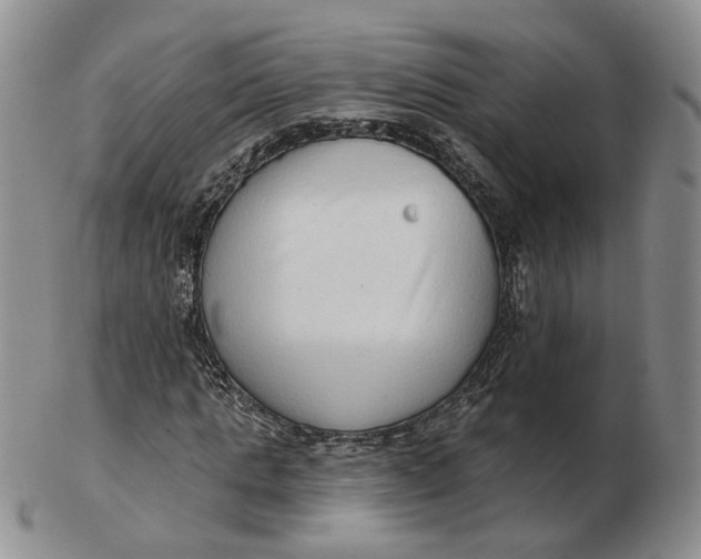 X0000103150821200809121814