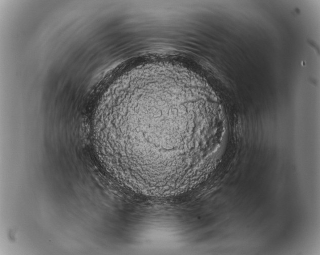 X0000103150822200809121814