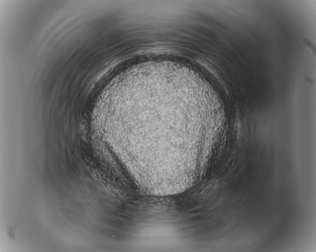 X0000103150823200809121814