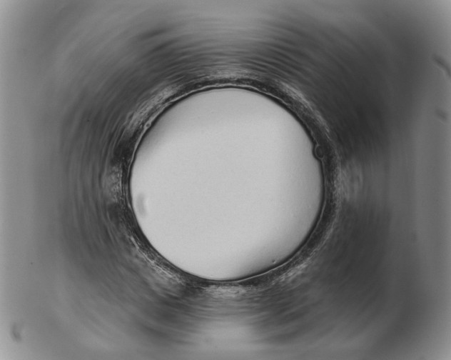 X0000103150825200809121814